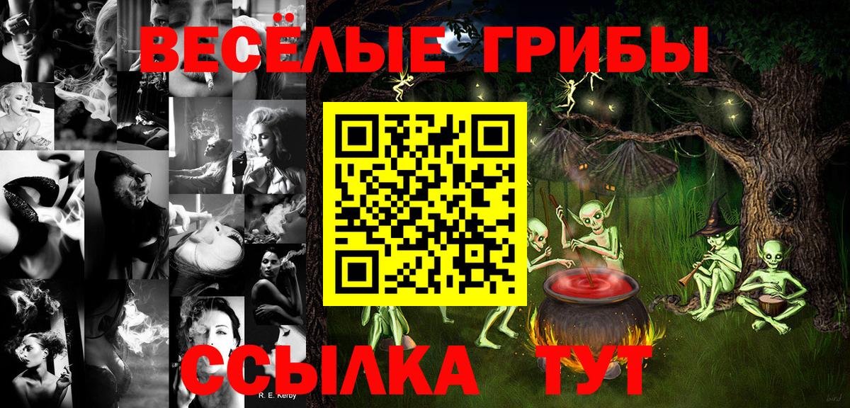Псилоцибиновые грибы Cubensis  Вход с VPN  Кимры 